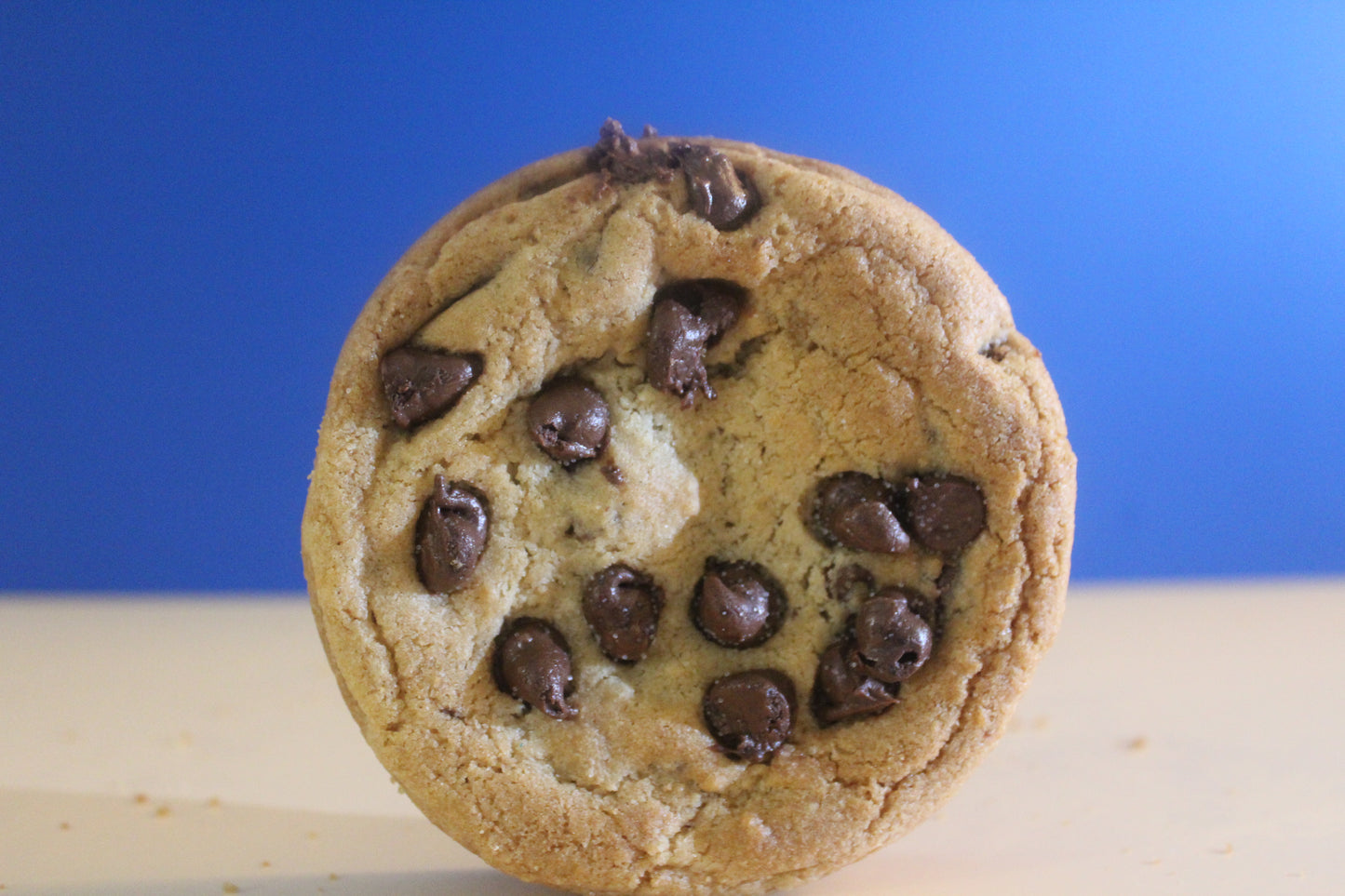 Chocolate Chip Cookie