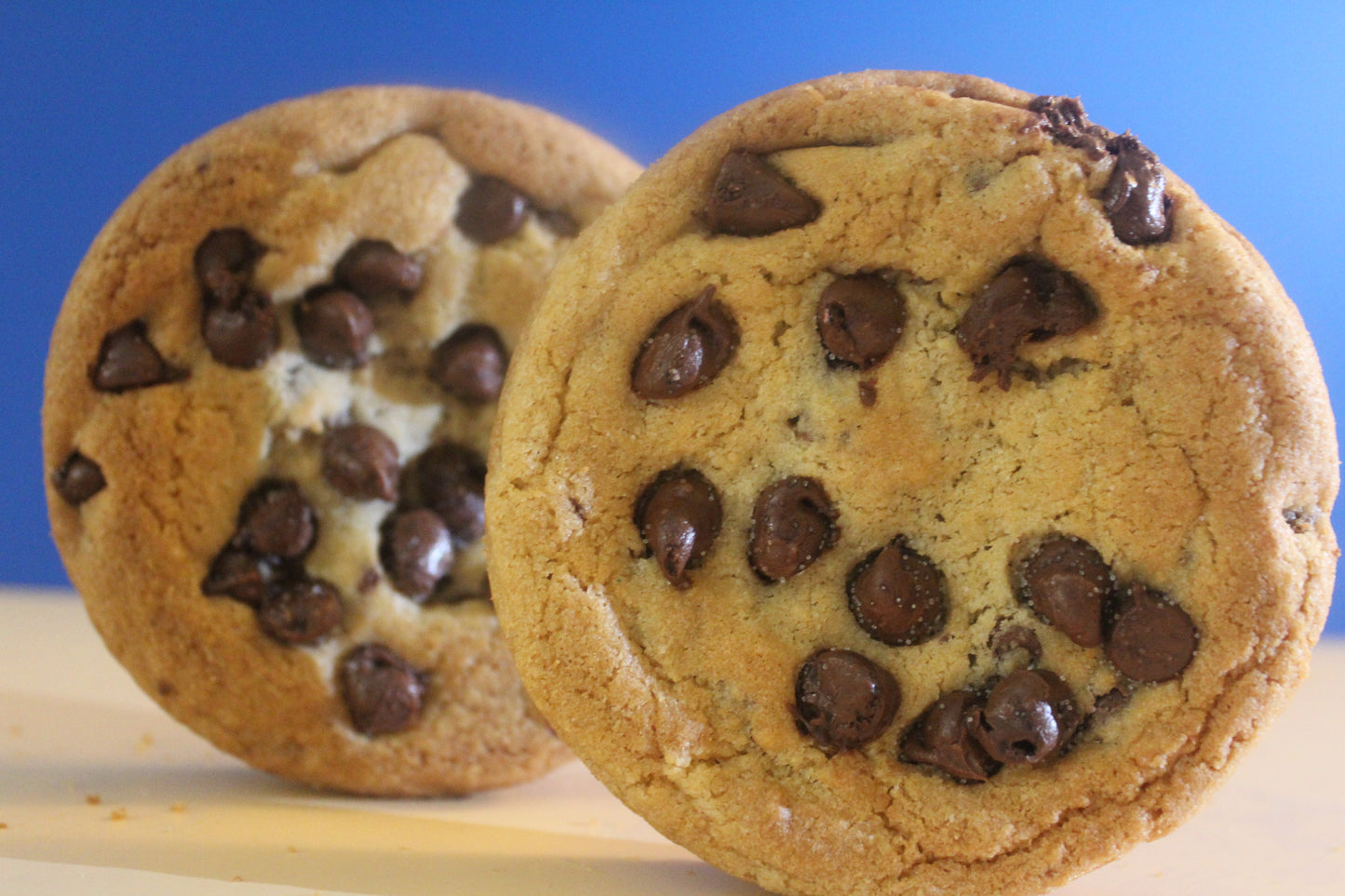 Chocolate Chip Cookie